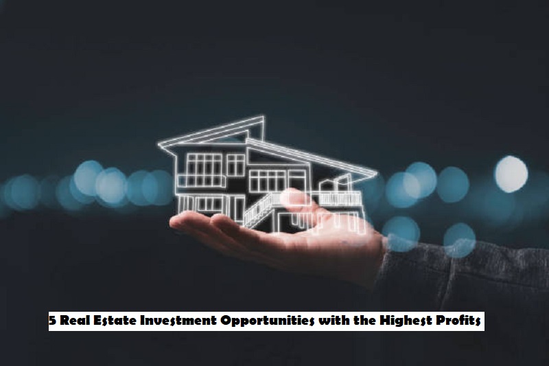 5 Real Estate Investment Opportunities with the Highest Profits