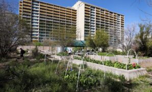 Property For Sale in Tucson City A Comprehensive Guide