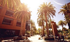 Why Silicon Valley Startups Are Still the Best Tech Investments
